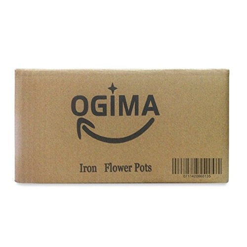 Ogima 10 Piece Metal Iron Hanging Flower Pots, Multicolor