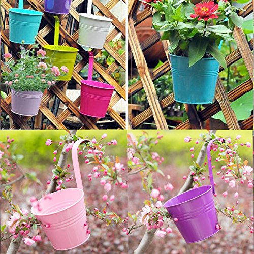 Ogima 10 Piece Metal Iron Hanging Flower Pots, Multicolor