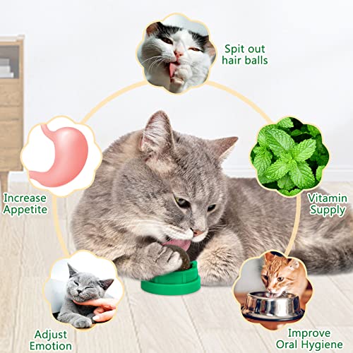 OHALEEP Catnip Ball for Cats Wall, 3 Pack Catnip Toys, Edible Kitt...