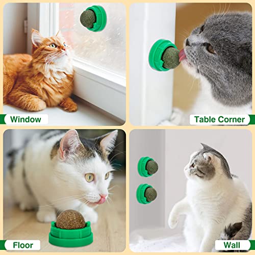OHALEEP Catnip Ball for Cats Wall, 3 Pack Catnip Toys, Edible Kitt...
