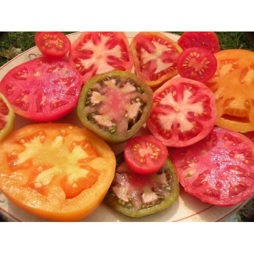 Heirloom Tomato Seed Assortment- 10 Varieties- Over 900 Seeds- Non...