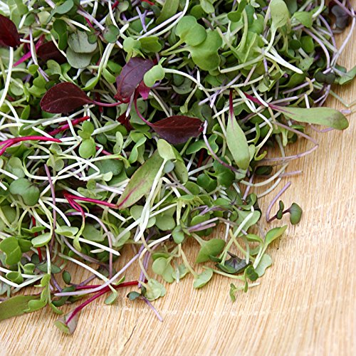 Microgreens Seed Assortment- Sprouting Seeds- 10 Heirloom Varietie...