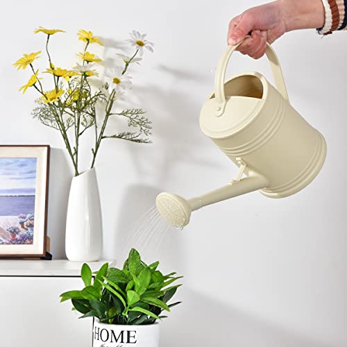 Watering Can for Indoor Plants, Flower Watering Can Outdoor for Ho...