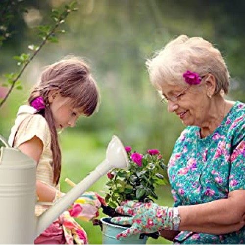 Watering Can for Indoor Plants, Flower Watering Can Outdoor for Ho...