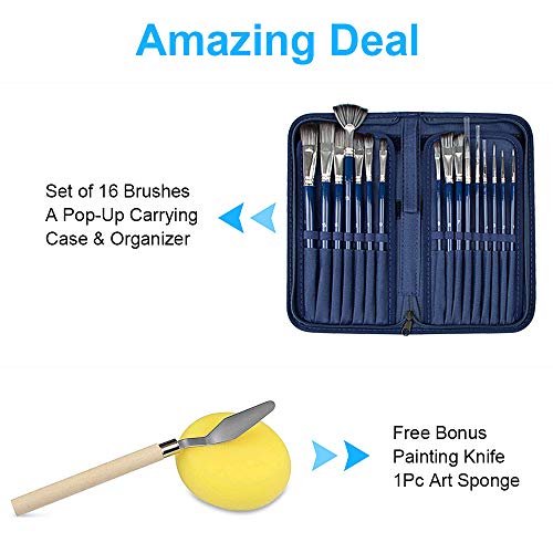 omitium Artist Paint Brush Set,16Pcs Different Shapes & Sizes Pain...