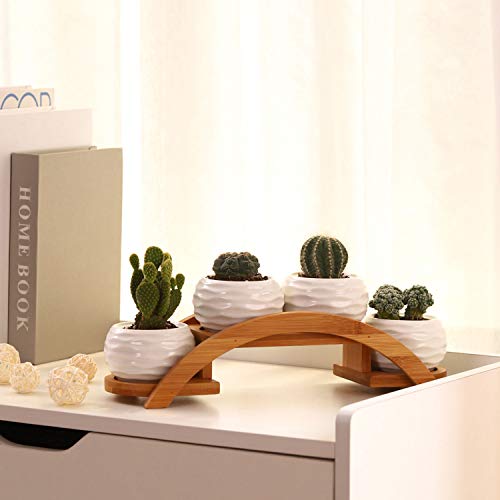 Ceramic White Mini Textured Succulent Plant Pot Cactus Plant Pot w...