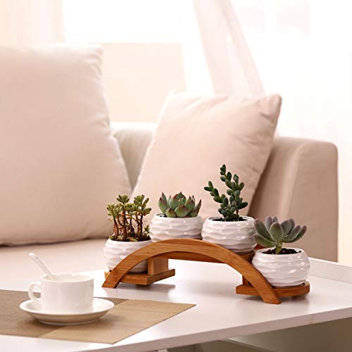 Ceramic White Mini Textured Succulent Plant Pot Cactus Plant Pot w...