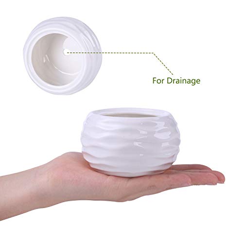 Ceramic White Mini Textured Succulent Plant Pot Cactus Plant Pot w...