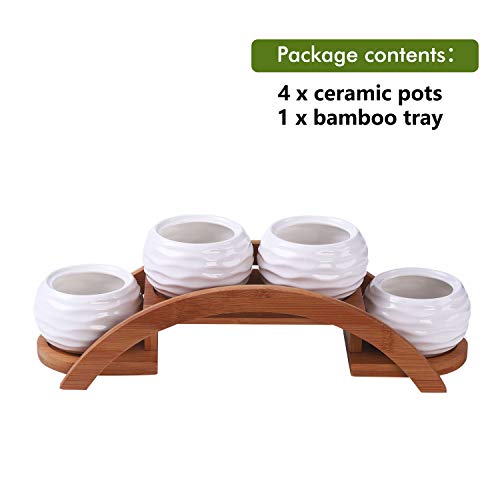 Ceramic White Mini Textured Succulent Plant Pot Cactus Plant Pot w...