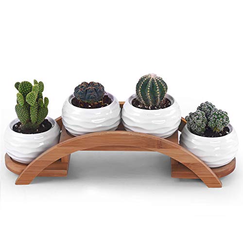 Ceramic White Mini Textured Succulent Plant Pot Cactus Plant Pot w...