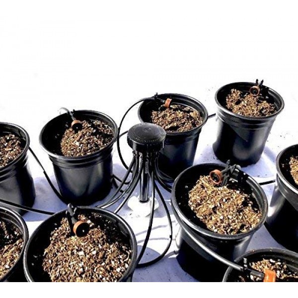 12 Plant Drip Grow Kit - Starter Hydroponics Irrigation Bubbler / ...