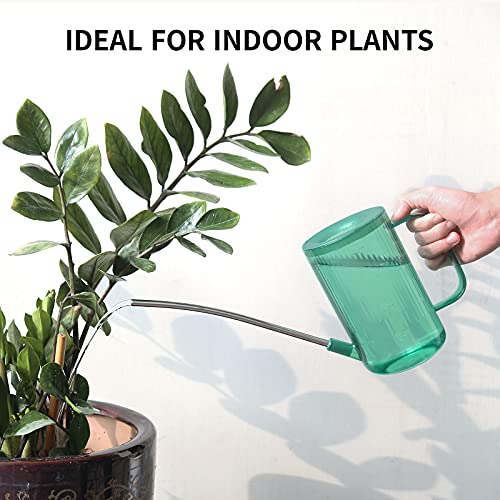 Watering Can Indoor Plants, ONEDONE Plant Watering Can 34 OZ, Long...