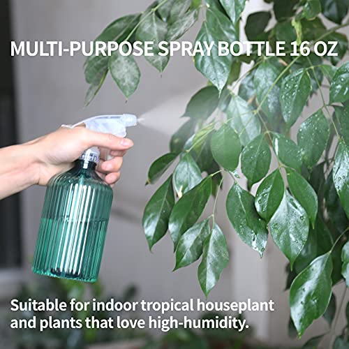 Watering Can Indoor Plants, ONEDONE Plant Watering Can 34 OZ, Long...