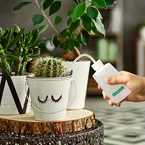 Watering Can Indoor Plants, ONEDONE Plant Watering Can 34 OZ, Long...