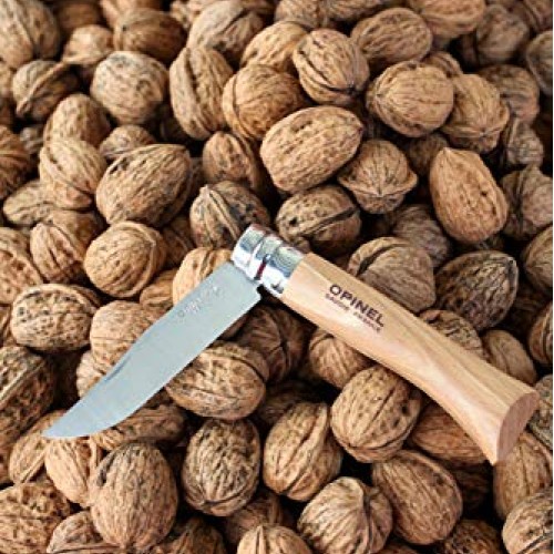 Opinel Stainless Steel Folding Pocket Knife - Everyday Carry Knife...