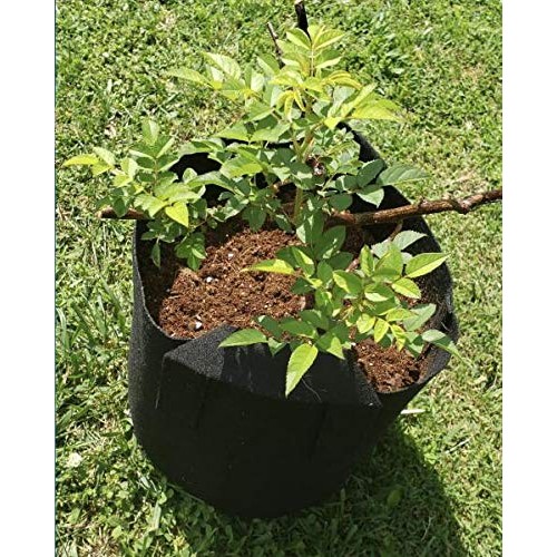 Oppolite 20 Gallom 12-Pack Fabric Grow Pot Grow Bags Fabric Aerati...