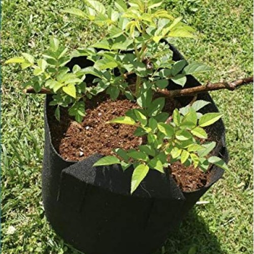 Oppolite 20 Gallom 12-Pack Fabric Grow Pot Grow Bags Fabric Aerati...