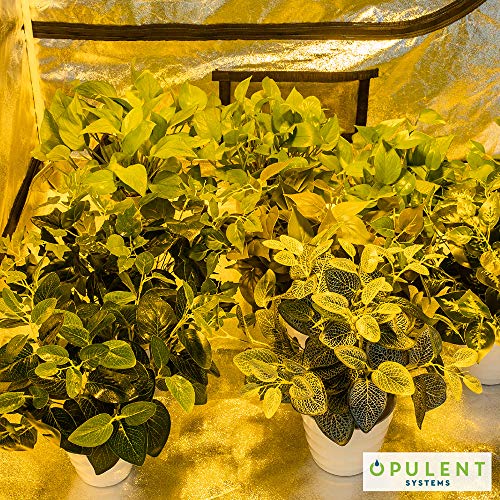 OPULENT SYSTEMS 96x48x80 Hydroponic Mylar Water-Resister Grow T...