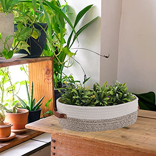 Oradrem 2 Pack Woven Storage Basket for Toilet Tank Top,Farmhouse ...