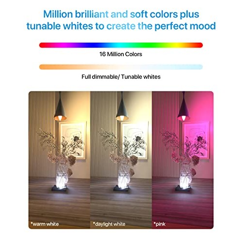 ORALUCE Smart Light Bulbs, WiFi＆Bluetooth E12 Smart Bulbs That Wo...
