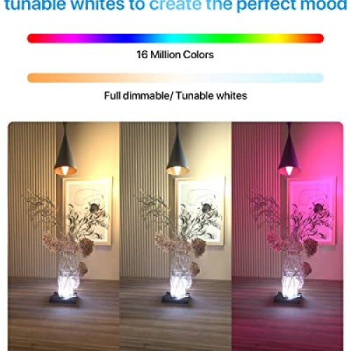 ORALUCE Smart Light Bulbs, WiFi＆Bluetooth E12 Smart Bulbs That Wo...