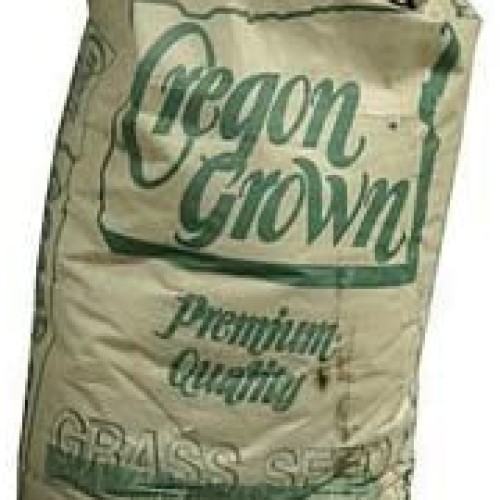 Grass Seed Premium RYE Gulf Annual Oregon Grown 50 LBS