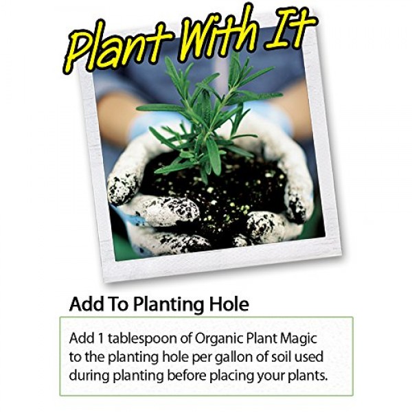 Plant Magic Plant Food 100% Organic Fertilizer - Easy to Use All P...