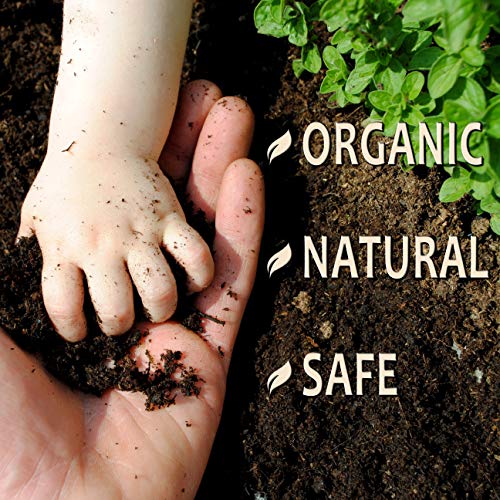OrganicMatters Natural Weed Killer Spray, No Glyphosate, People, P...
