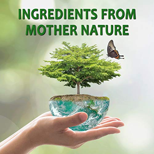 OrganicMatters Natural Weed Killer Spray, No Glyphosate, People, P...