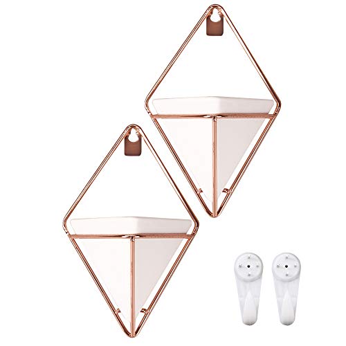 Originalidad Hanging Planter Ceramic & Geometric Wall Planter Cont...