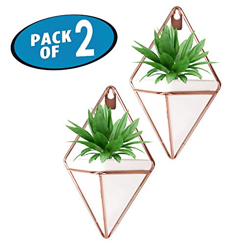 Originalidad Hanging Planter Ceramic & Geometric Wall Planter Cont...