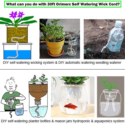30 Pack 3 Inch Net Cup Pots with Hydroponic Self Watering Wick & P...