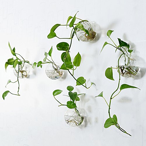 Orimina Pack of 2 Glass Planters Wall Hanging Planters Round Glass...
