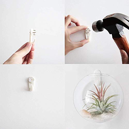 Orimina Pack of 2 Glass Planters Wall Hanging Planters Round Glass...