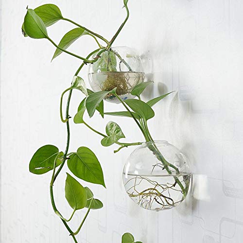 Orimina Pack of 2 Glass Planters Wall Hanging Planters Round Glass...