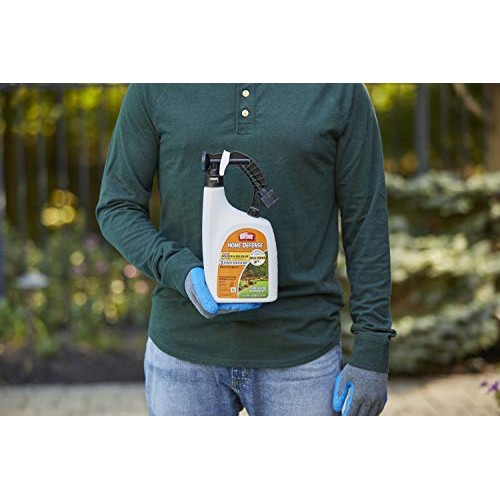 Orthho 0437806 Home Defense Backyard Mosquito and Bug Killer Ready...