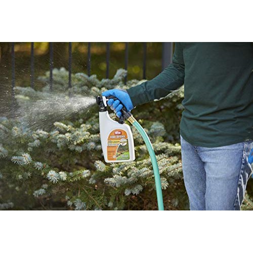 Orthho 0437806 Home Defense Backyard Mosquito and Bug Killer Ready...
