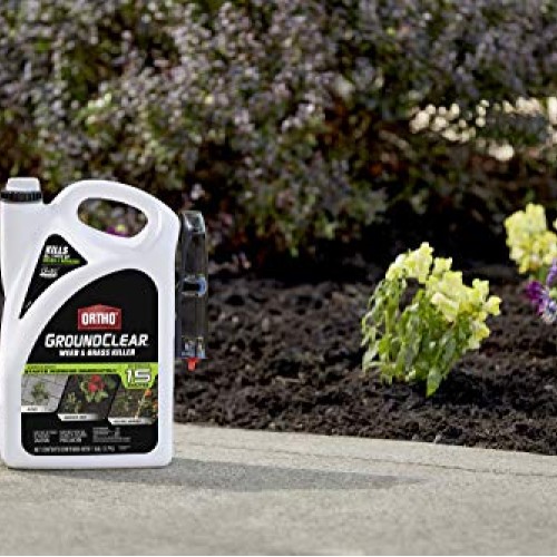 Ortho 4613905 GroundClear Weed and Grass Killer: Ready-to-Use, wit...