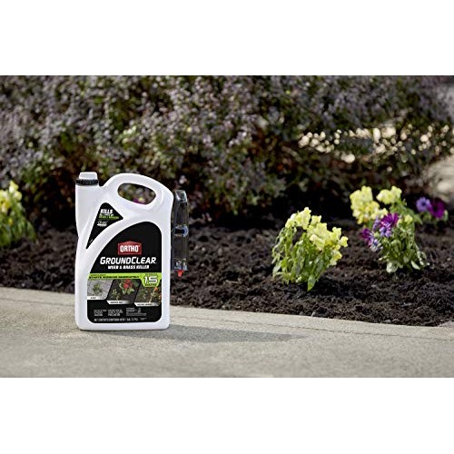 Ortho 4613905 GroundClear Weed and Grass Killer: Ready-to-Use, wit...