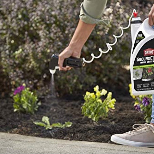 Ortho 4613905 GroundClear Weed and Grass Killer: Ready-to-Use, wit...