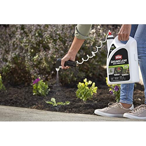 Ortho 4613905 GroundClear Weed and Grass Killer: Ready-to-Use, wit...