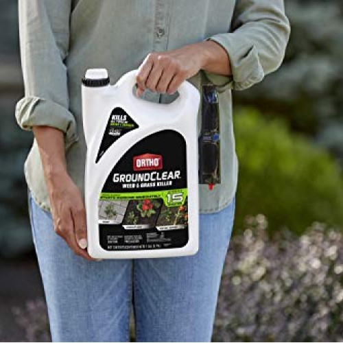 Ortho 4613905 GroundClear Weed and Grass Killer: Ready-to-Use, wit...