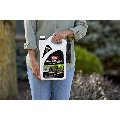 Ortho 4613905 GroundClear Weed and Grass Killer: Ready-to-Use, wit...
