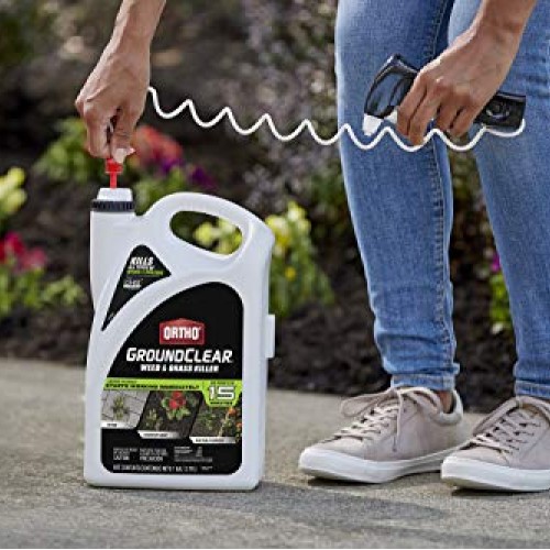 Ortho 4613905 GroundClear Weed and Grass Killer: Ready-to-Use, wit...