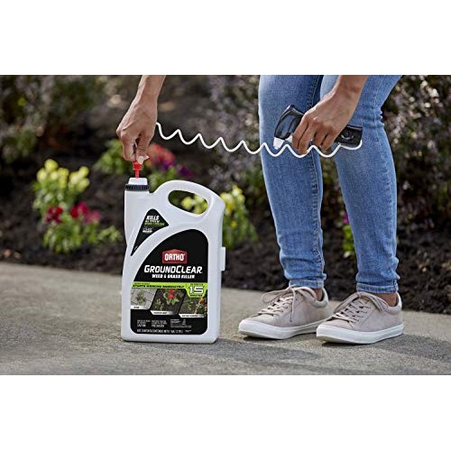 Ortho 4613905 GroundClear Weed and Grass Killer: Ready-to-Use, wit...
