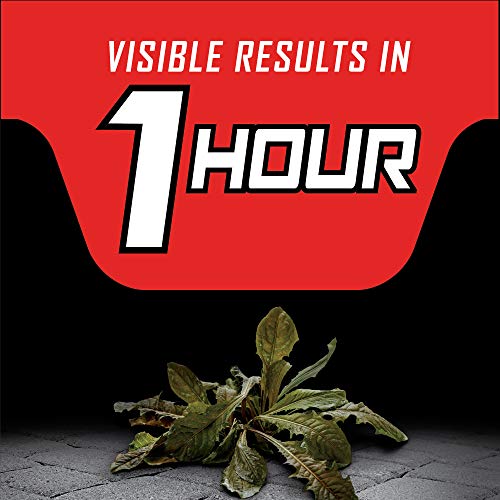 Ortho GroundClear Year Long Vegetation Killer Refill - Visible Res...
