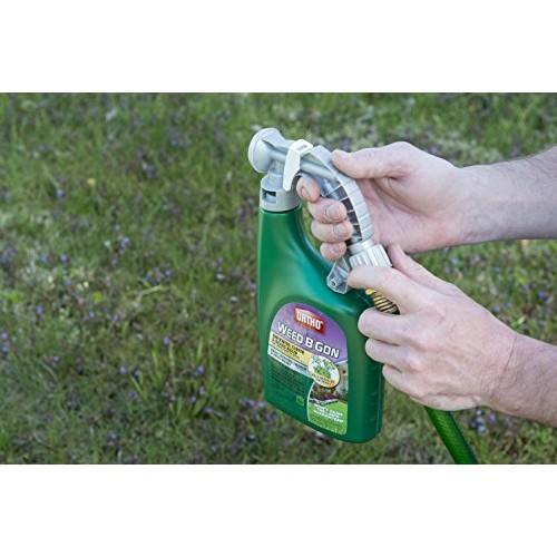 Ortho Weed B Gon Chickweed, Clover & Oxalis Killer for Lawns Ready...