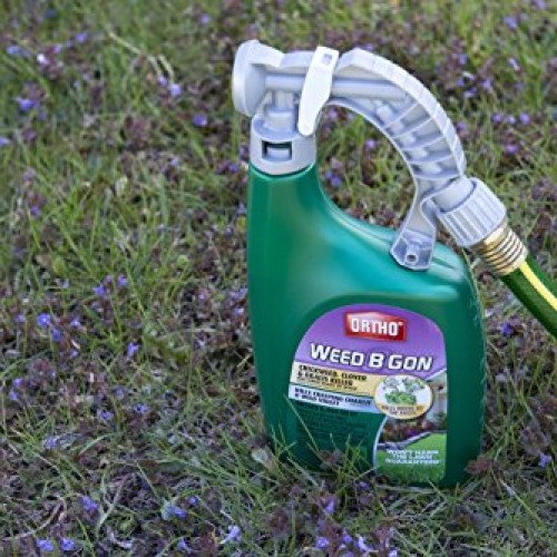 Ortho Weed B Gon Chickweed, Clover & Oxalis Killer for Lawns Ready...