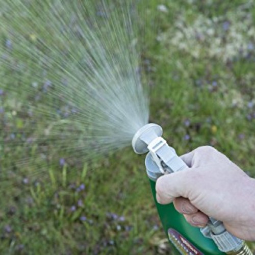Ortho Weed B Gon Chickweed, Clover & Oxalis Killer for Lawns Ready...