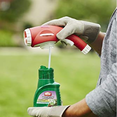Ortho Weed B Gon Chickweed, Clover & Oxalis Killer for Lawns Conce...